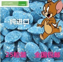 高效除鼠新選擇 最新粘鼠板產(chǎn)品全方位解析與選購指南